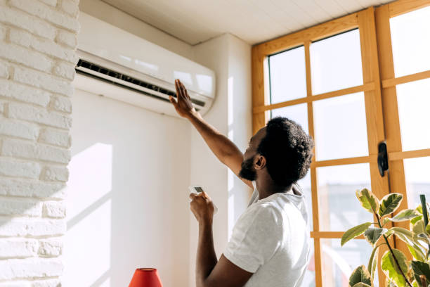 Best Air Quality Test  in Shamokin, PA